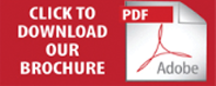 PDF Download